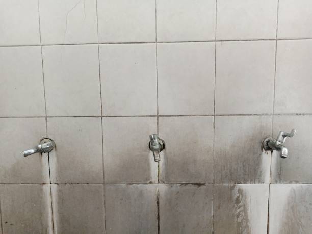 Best Professional water damage repair  in Vernonia, OR