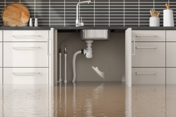 Best 24-hour water damage restoration  in Vernonia, OR