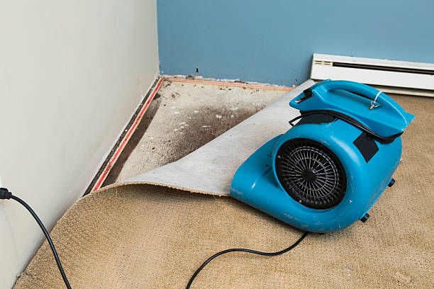 Sewage cleanup and water damage restoration in OR